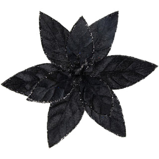 BLACK VELVET POINSETTIA