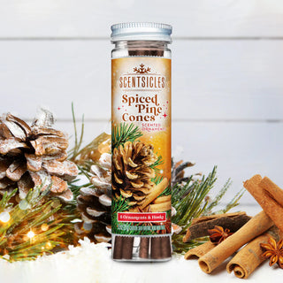 SCENTSICLES SCENTED ORNAMENT STICKS, SPICED PINE CONE - 6CT BOTTLE