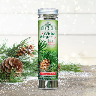 SCENTSICLES SCENTED ORNAMENT STICKS, WHITE WINTER FIR - 6CT BOTTLE